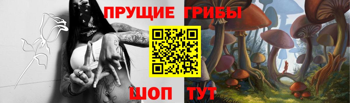 Галлюциногенные грибы ЛСД Сланцы